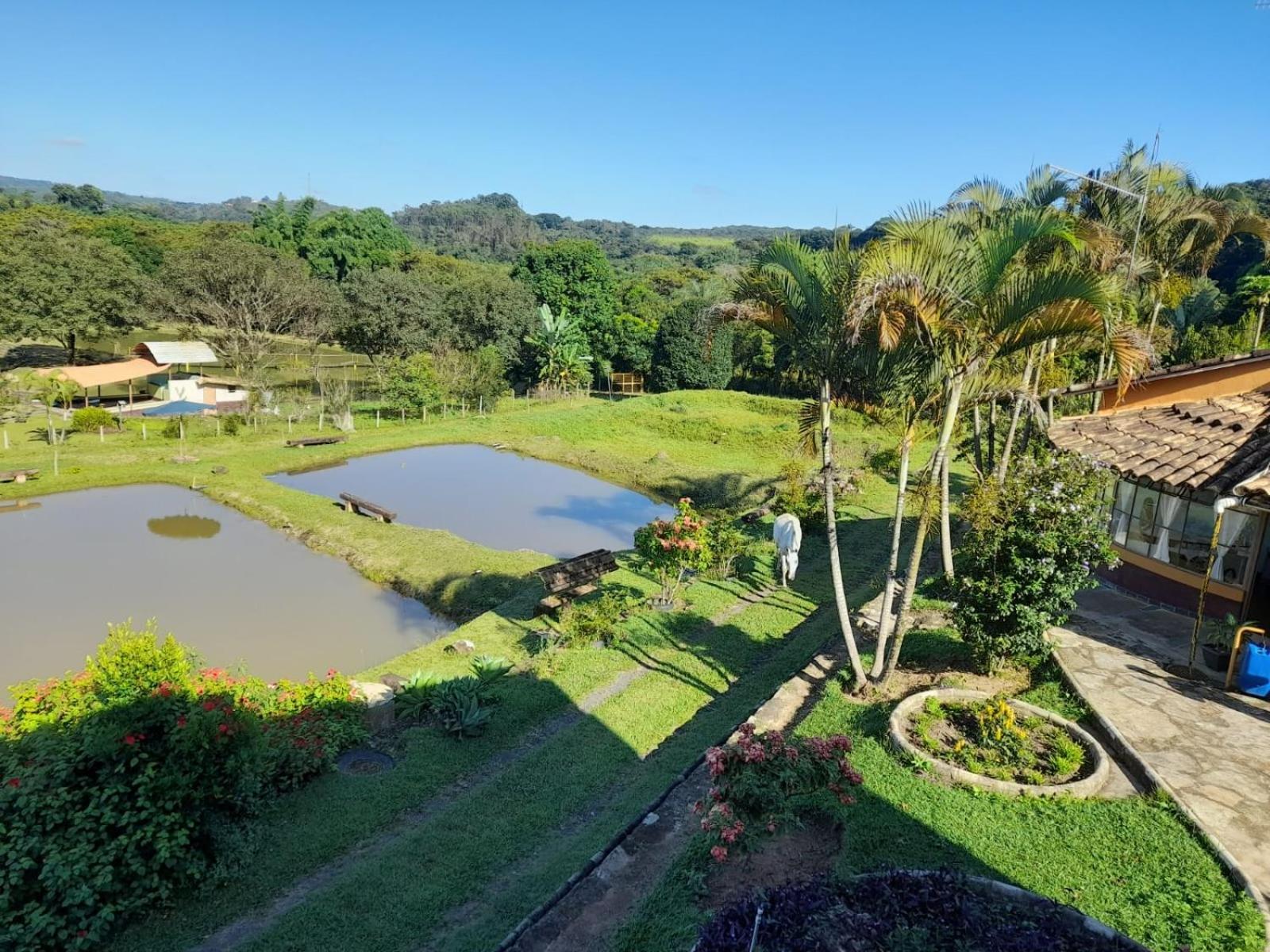 Pousada Balneario Cachoeira Do Moinho Belo Vale 外观 照片